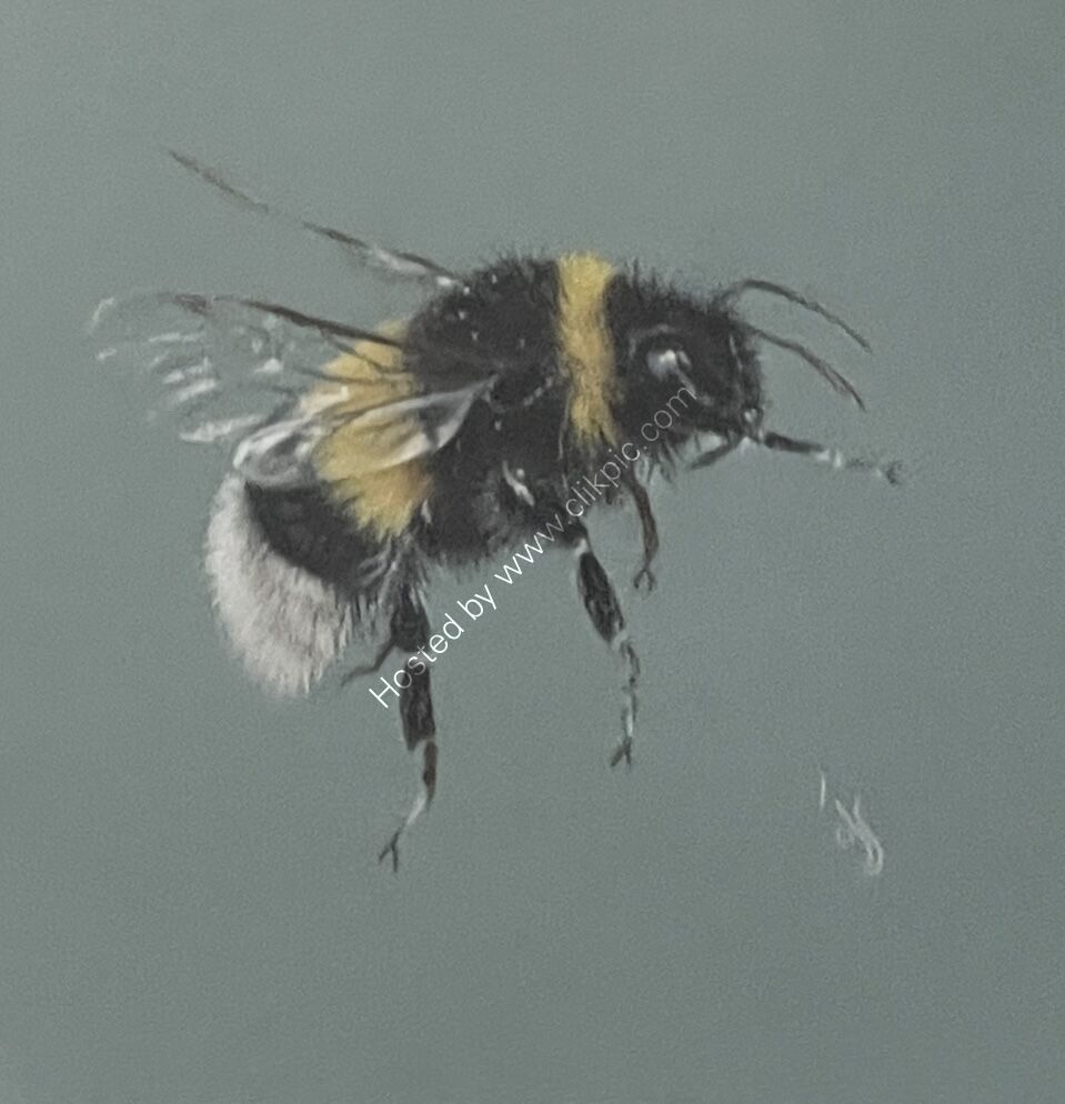 Bee Mine