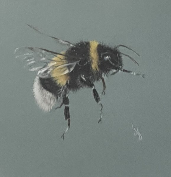 Bee Mine  SOLD Hempstead Arts Exhibition August 2025
