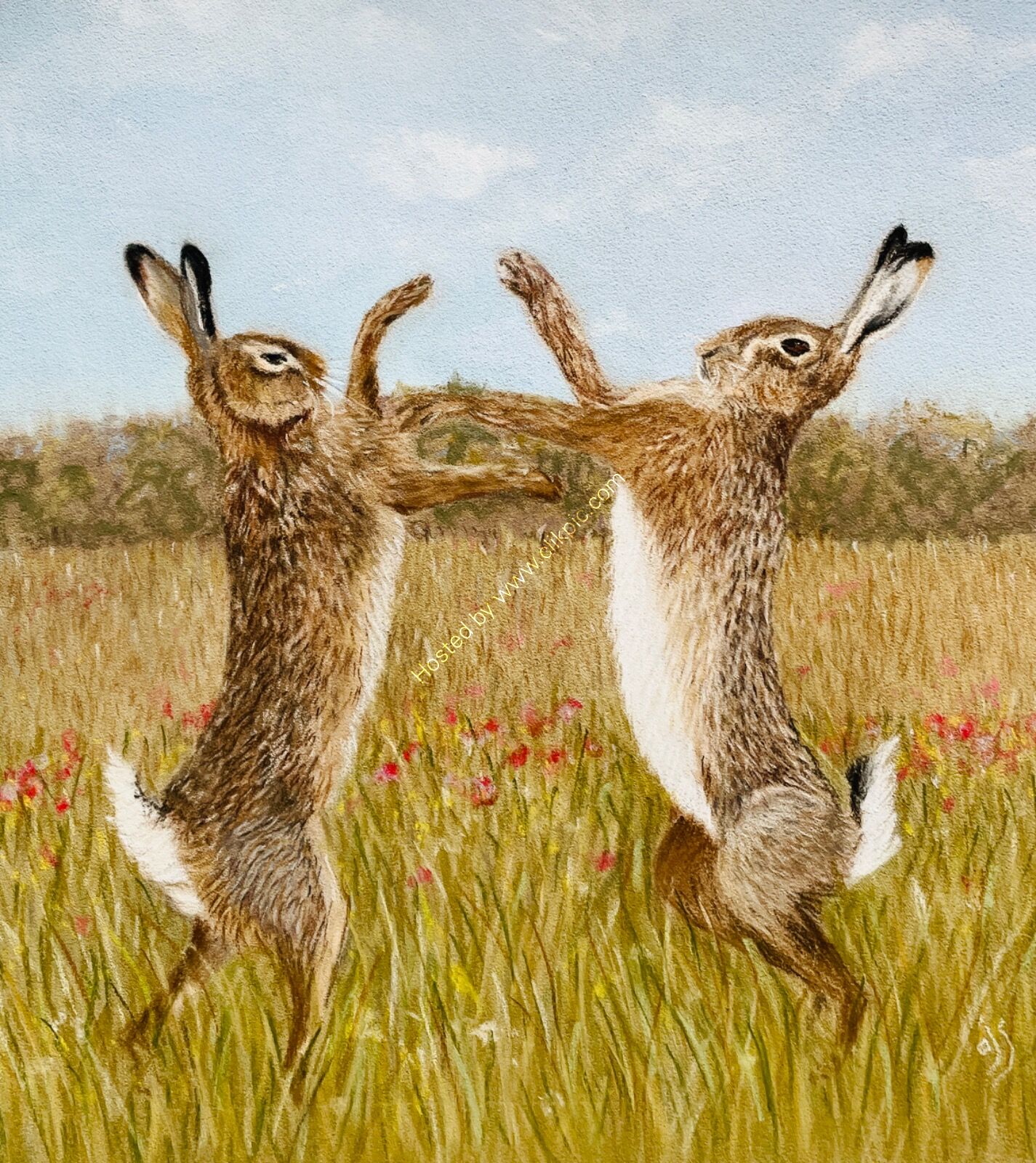 Boxing Hares