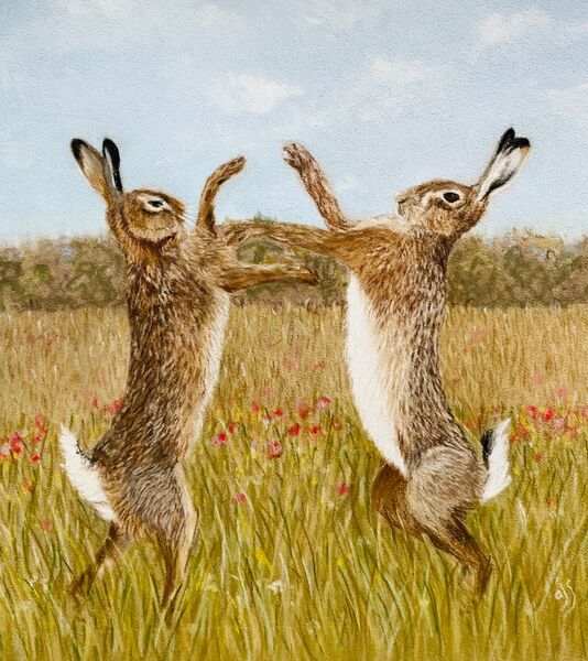 Boxing Hares