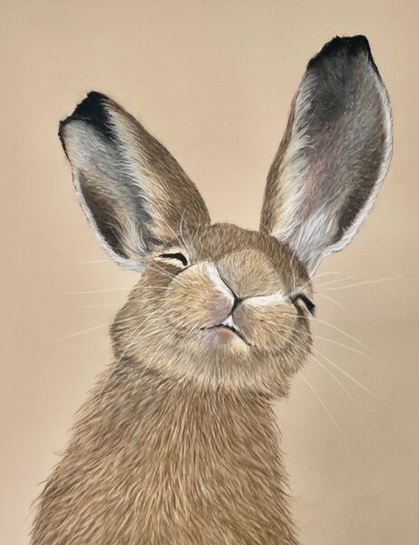 Big Ears, Big Dreams Sold Hickling Craft Show 2026