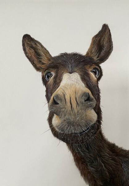 Nancy Nell (Moke) SOLD Thorpe Market Snowdrop weekend