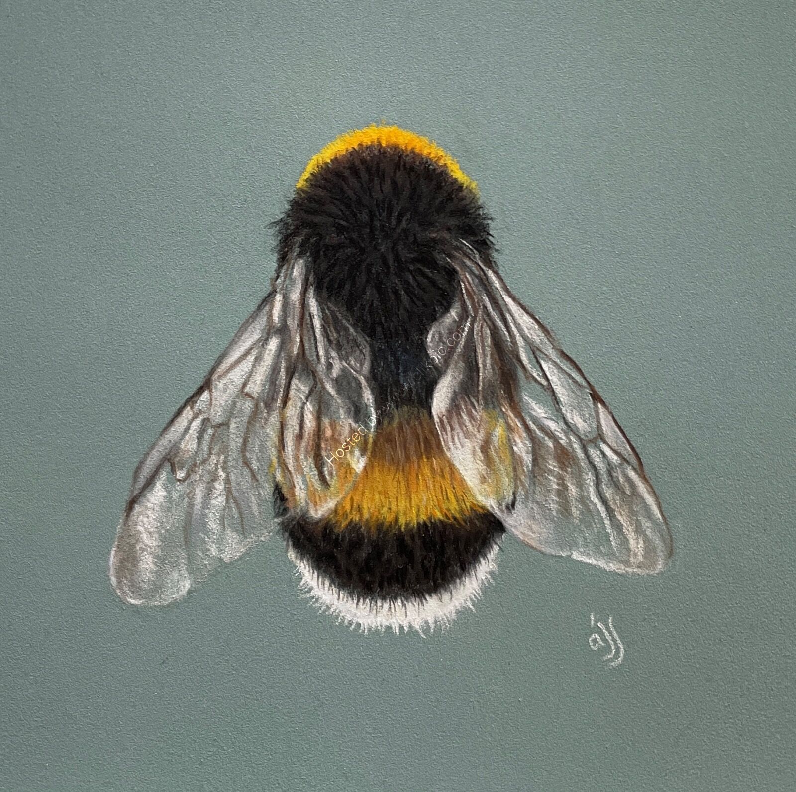 Bee