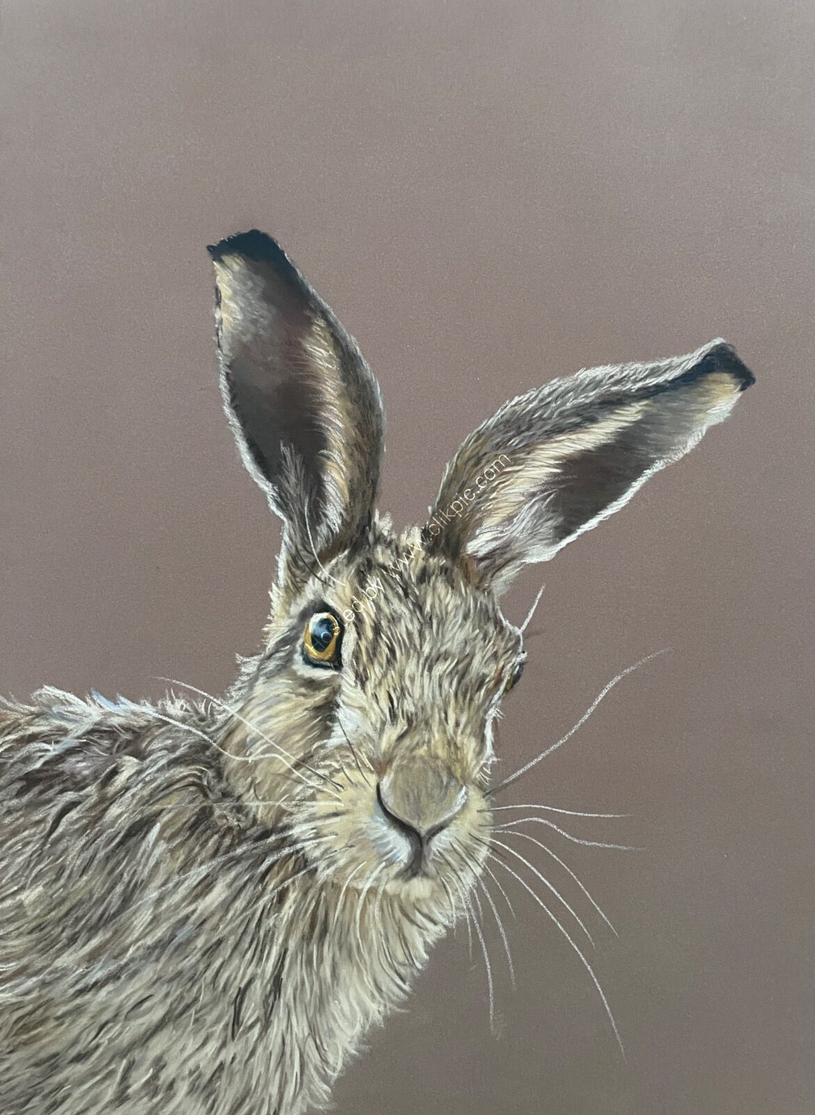 Scruff the Hare Sold Hickling Craft Show 2026