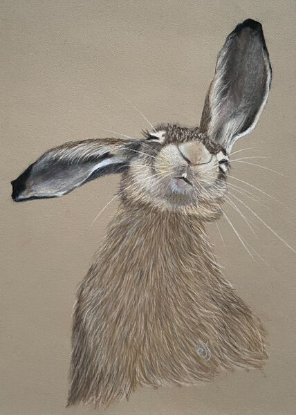 Keeping an Ear to the Ground SOLD Potter Heigham 2024