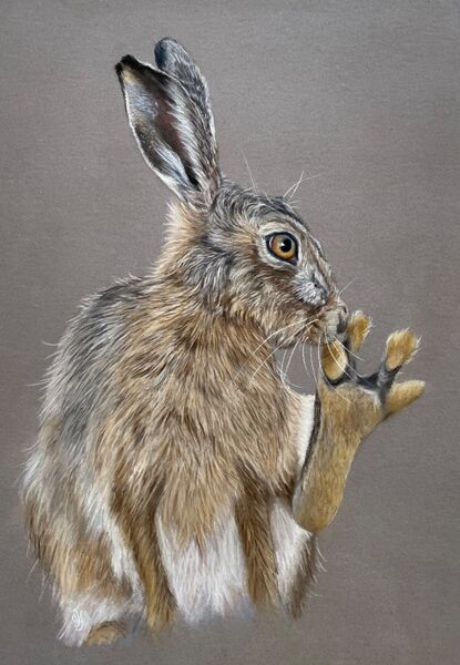 Hare Wash SOLD Thorpe Market Feb 2025