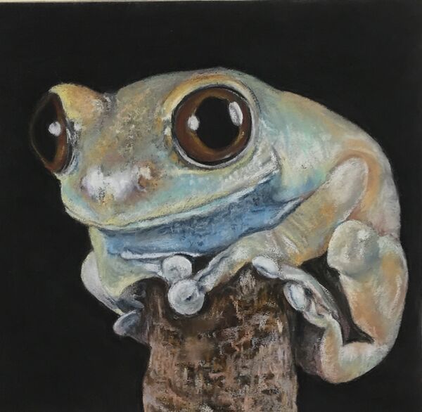 Frog on a Log. SOLD Thorpe Market