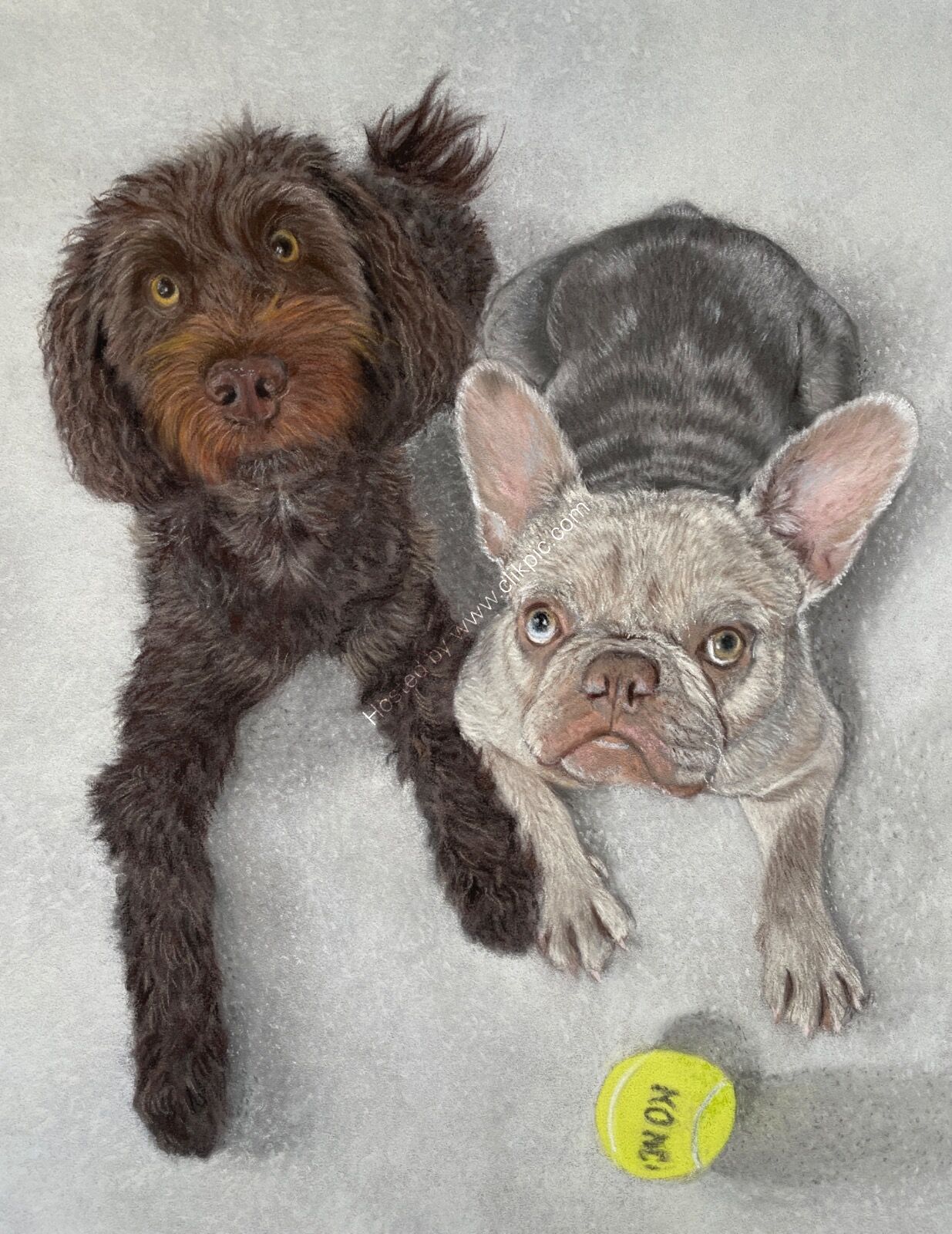 Colin and Mocha  Commission