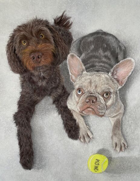 Colin and Mocha  Commission