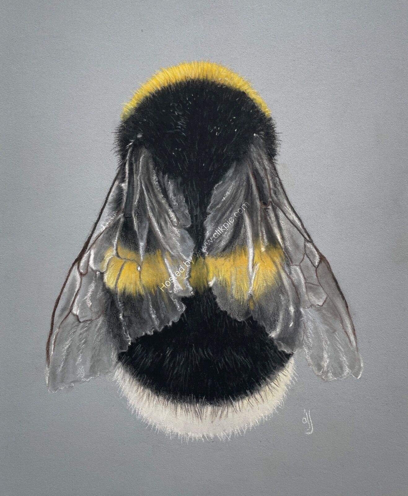 Bee Happy SOLD ART LUDHAM 2026