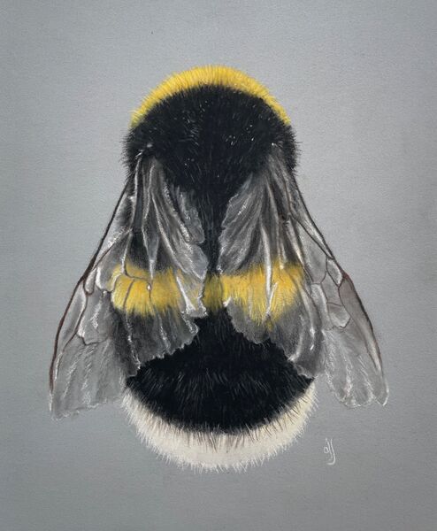 Bee Happy SOLD ART LUDHAM 2026