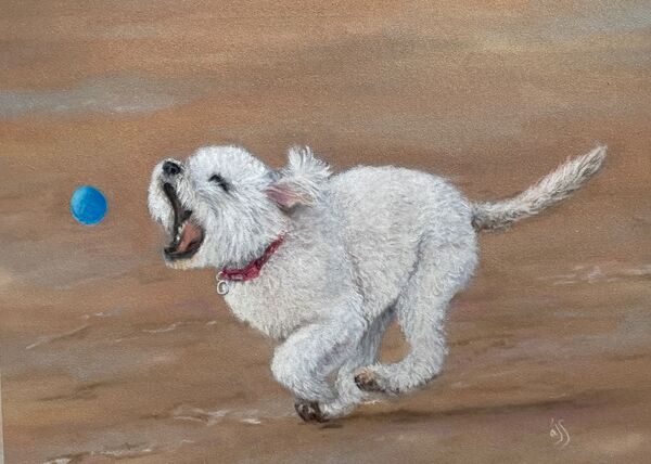 Playtime