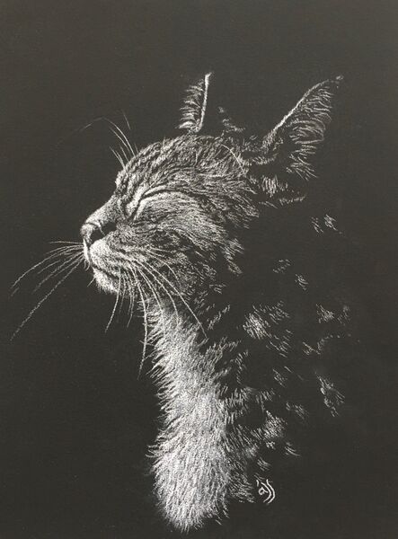 Moon Bathing (Cat’s spirit) A/O