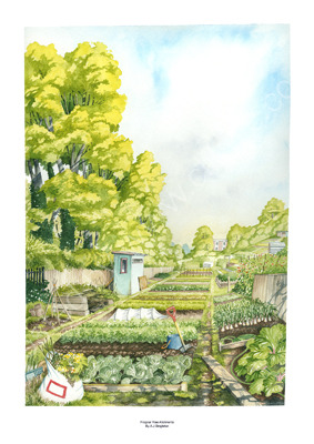 Allotments - Hampstead, London NW3