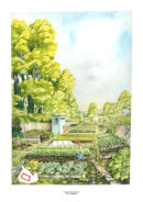Allotments - Hampstead, London NW3