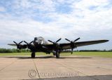 Just Jane