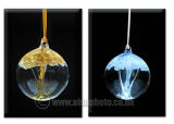 Studio Photography.