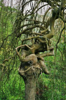 That's another fine mess I've got myself into!