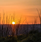 Sundown in lockdown will rise again tomorrow.