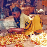 Woman and Tomatoes