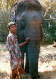 Boy with Elephant