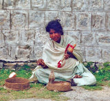 Snake Charmer