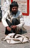 Snake Charmer