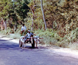 Transporting Coconuts