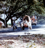 Bangalore Mysore Road, Mandya