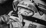 Senna, Pencil 20x16