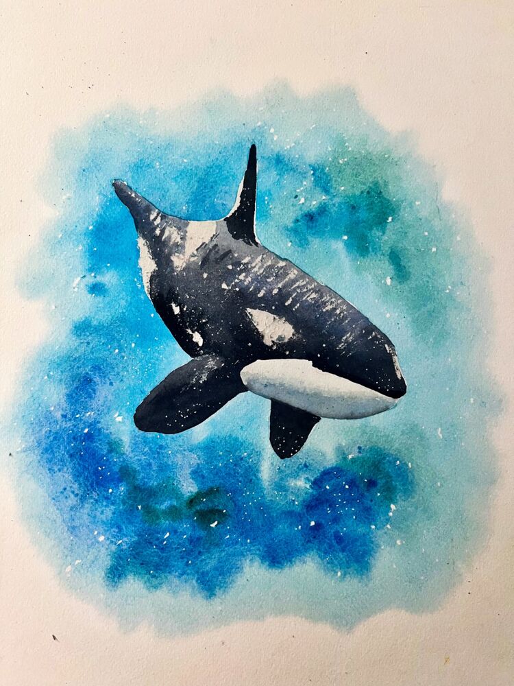 Orca