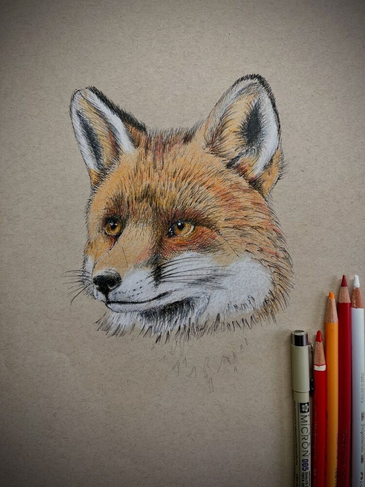 Fox
