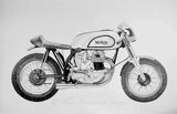 Norton. Pencil 20x16