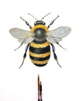 Coloured pencil bee