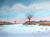 Staffordshire winter