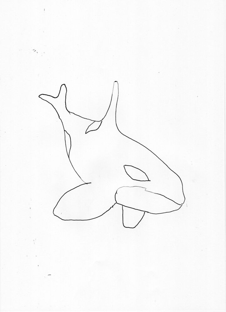 Orca 1 outline