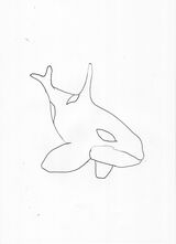Orca 1 outline