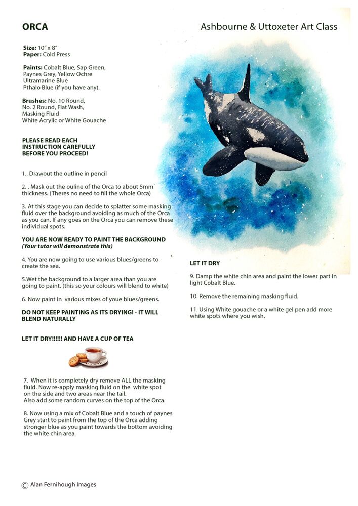 Orca Instructions