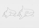 Orcas 2