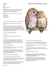 Owls instructions