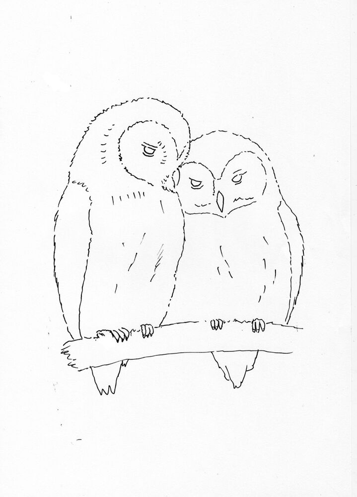 Owls outline