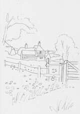 Poppy Field outline