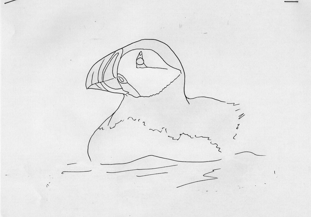 Puffin Outline