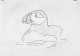 Puffin Outline
