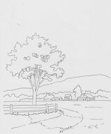 Summer Meadow Outline