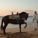 Fantasia cavalier and his horse