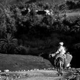 Fint Oasis Morocco