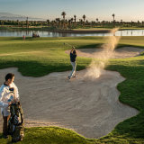 Royal Palm Golf