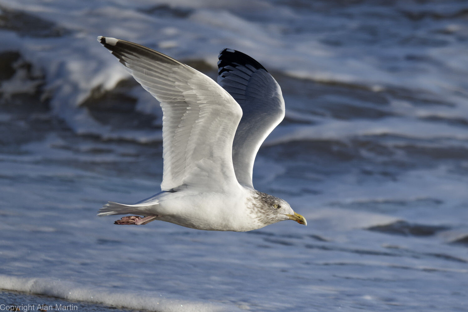 10 Minsmere, Suffolk
