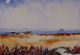 Ailsa Craig